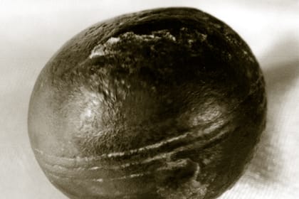 El Gran Engaño - Conferencias - B - 05a Nos mienten