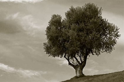 El Gran Engaño - Conferencias - B - 09b Los judios en el tiempo del fin